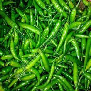 A Grade Fresh Green Chilli