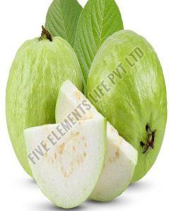 A Grade Fresh Green Guava