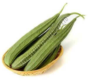 A Grade Fresh Green Ridge Gourd