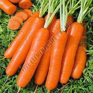 A Grade Fresh Orange Carrot