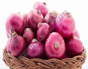 A Grade Fresh Pink Onion