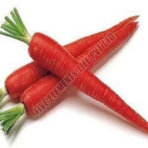 A Grade Fresh Red Carrot
