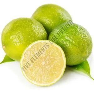 A Grade Fresh Sweet Lime
