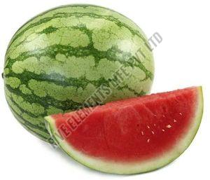 A Grade Fresh Watermelon