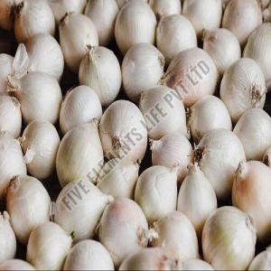 A Grade Fresh White Onion