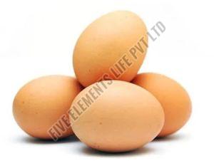 Brown Kadaknath Chicken Egg