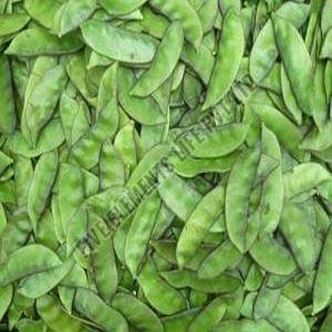 Fresh Green Broad Beans