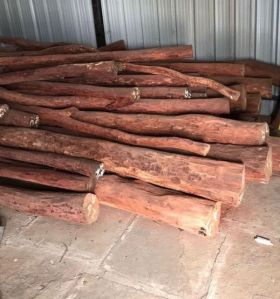 Natural Red Sandalwood Logs