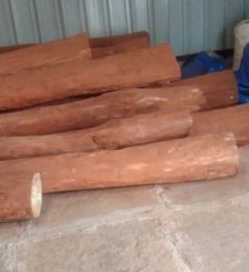 Pure Red Sandalwood Logs