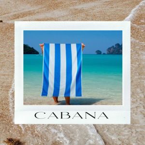 Soft and Plush Bordered Towel