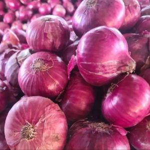 Fresh Red Onion