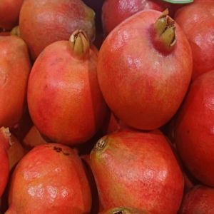 A Grade Dholka Pomegranate