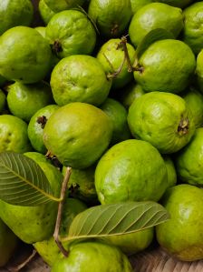 Fresh Green Guava