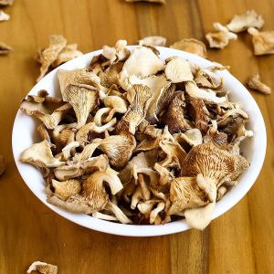 Dehydrated Oyster Mushroom