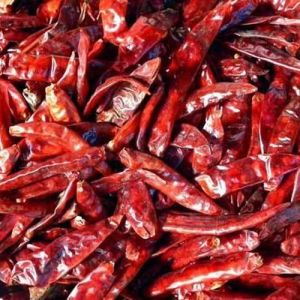 Dry Red Chilli