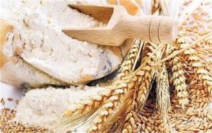 Pure Wheat Flour