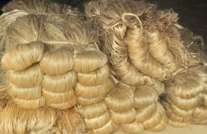 Raw Jute Fibre