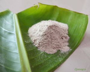 Raw Banana Powder