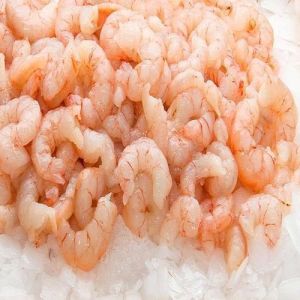 Pink Frozen Prawn
