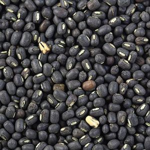 Whole Black Urad Dal