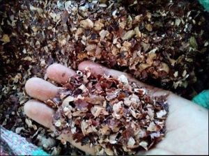 De Oiled Cashew Nut Shell Cake