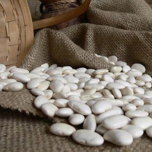 premium white kidney beans
