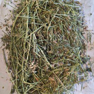 Lucerne Hay