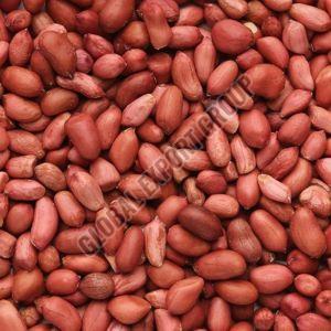 Peanut Seeds