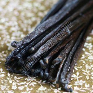 Vanilla Beans