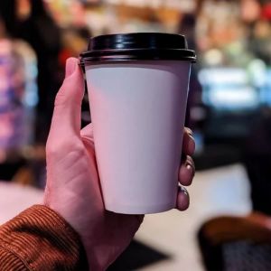 6oz Premium Plain Paper Cups with Lids