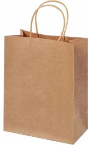Brown Disposable Plain Paper Bag