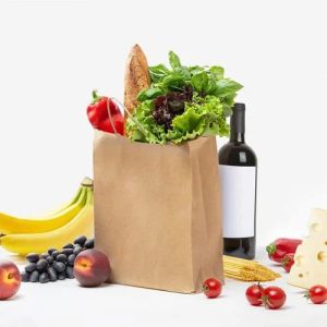 Brown Disposable Plain Paper Bag