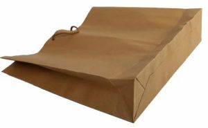 Brown Paper Shopping Bags