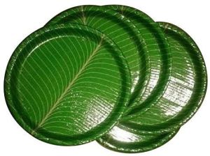 Paper Round Disposable Plates