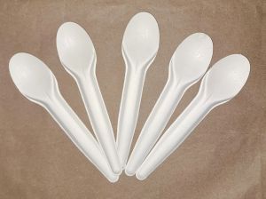 Sugarcane Bagasse Spoon