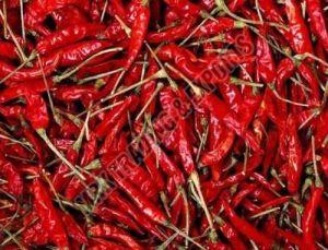 Guntur Dry Red Chilli