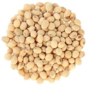 Yellow Soybean Seeds
