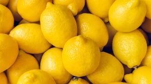 Fresh Lemon