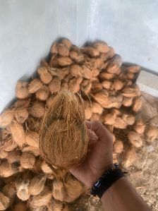 Husked Coconut