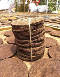 Round Cow Dung Cake