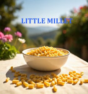 Little Millet Pasta