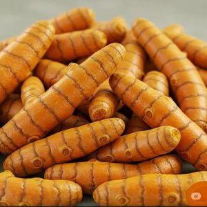 Kasturi Turmeric Finger