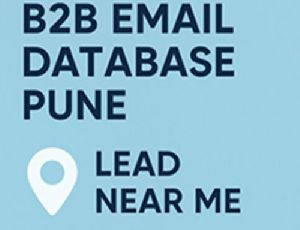 b2b Database Service
