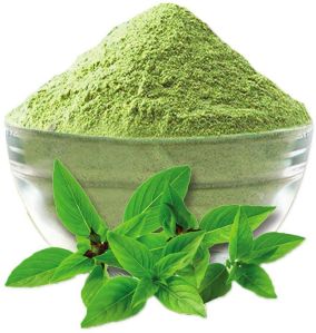Green Dried Tulsi Powder