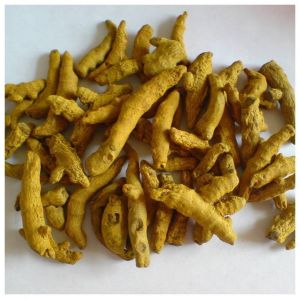 Turmeric Finger