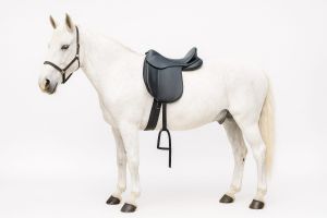 Horse Turnout Rug