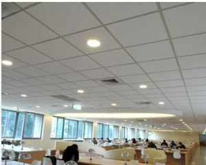 False Ceiling