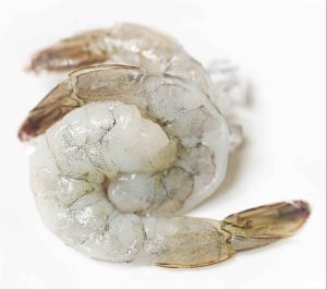 Fresh White Shrimp Prawns