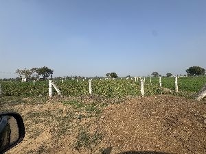 Agriculture Land Sale