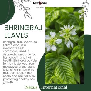 Bhringraj Powder
